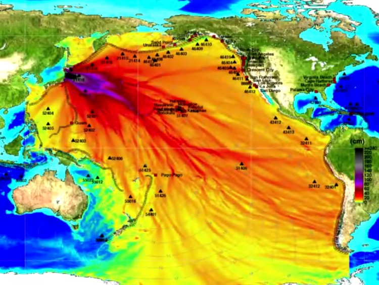 Global maximum wave amplitude computed with the MOST tsunami model. (NOAA)