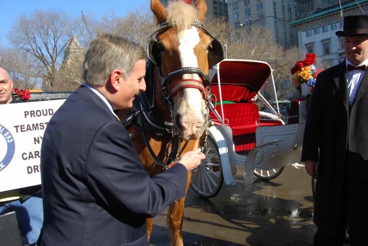 Councilman David Weprin showed his support for the horse-drawn carriage industry Sunday, Feb. 8 outside Central Park.  ((Catherine Yang/The Epoch Times))