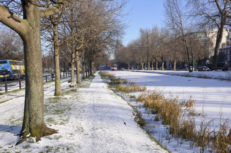 Baggot Street Dublin, last winter (Martin Murphy/The Epoch Times)