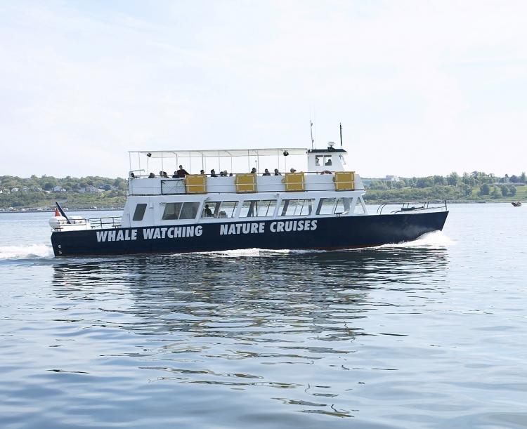 THREATENED BY POLLUTION: Engine exhaust from boats may be having significant adverse health effects on endangered killer whales off the West Coast of Canada and the U.S., according to a new study.