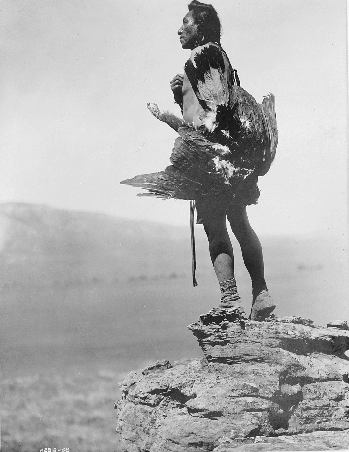 The eagle catcher, c1908. (Edward S. Curtis/Library of Congress)