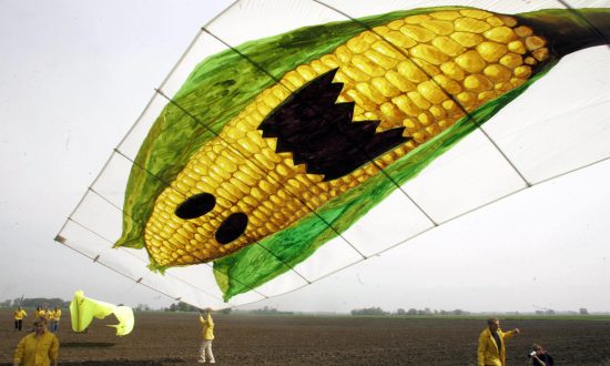 15 Things You Should Know About Monsanto
