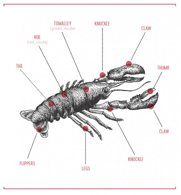 ‘How to Eat a Lobster’: A Crash Course in Gastronomy | The Epoch Times