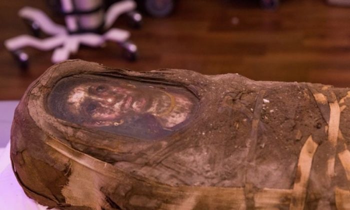 The Hibbard mummy. (Northwestern University)            