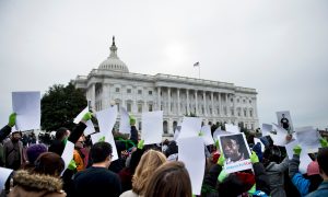 DACA Amnesty: What Is the Dream Act, and What Would It Do?