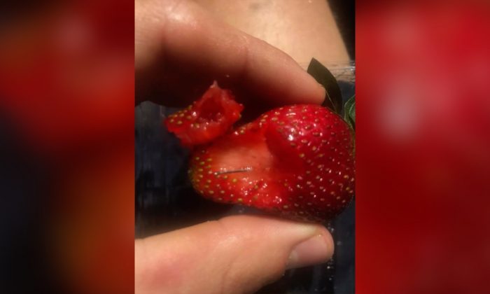 Image result for strawberries with needles in them youtube