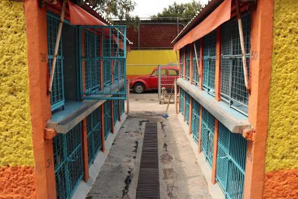 Animal cages at the Clinica Veterinaria Delegacional in Venustiano Carranza, Mexico City.