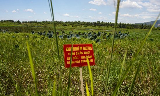 Vietnam, US Complete Cleanup of Toxic Chemical From Airport
