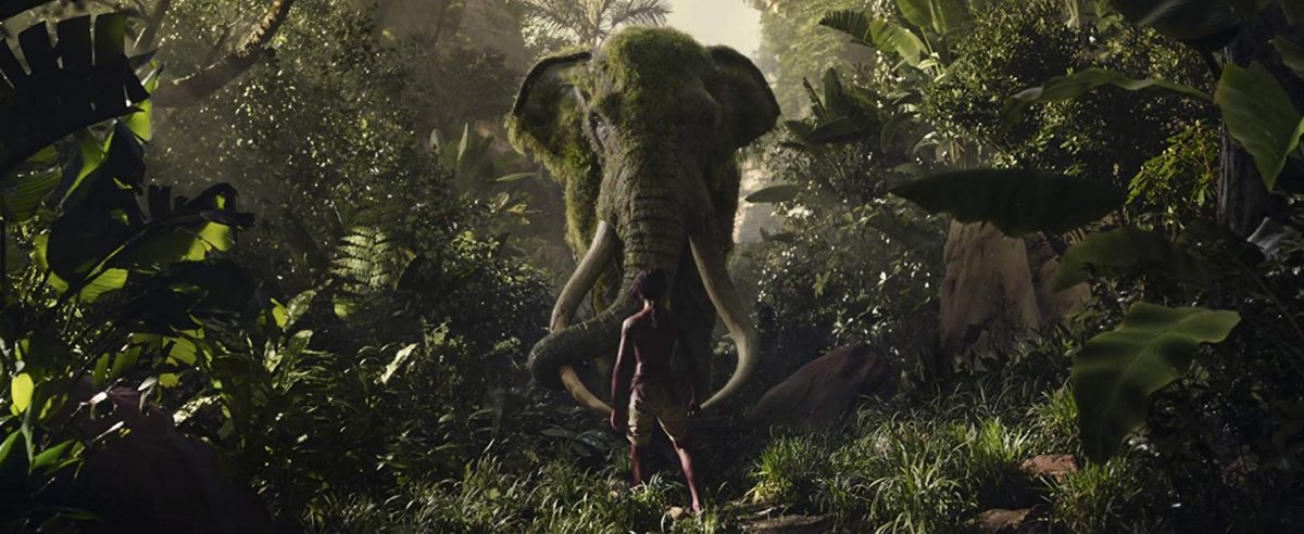 Bull elephant stands in jungle