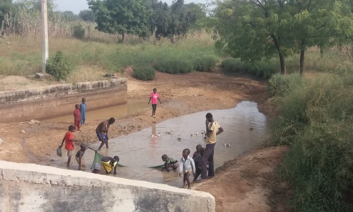 Children playing in a pond in Warawa Local Government Area of Kano State, Nigeria, on Nov. 11, 2016. (Toluwani Eniola/Special to The Epoch Times)