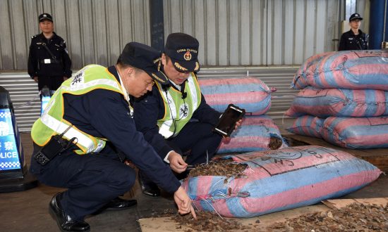 As China Pushes Traditional Medicine Globally, Illegal Wildlife Trade Flourishes