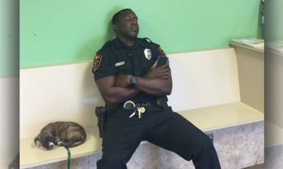 Exhausted Police Officer Helps Abandoned Puppy Find New Home and Gets Honored for His Service