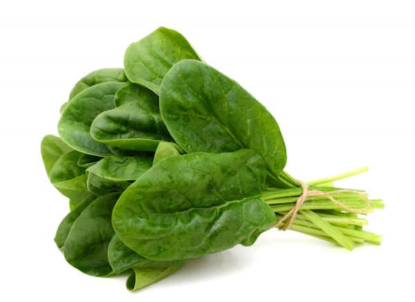 Fresh Spinach is rich in Iron