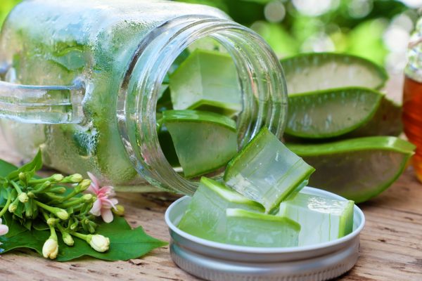 Aloe vera cubes