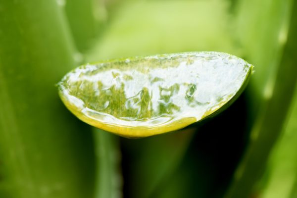 Anthraquinones of Aloe Vera 