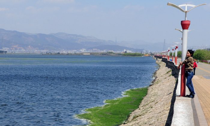 A woman overlooking a lake in Yunnan Province, China. (Frederic J. Brown/AFP/Getty Images)