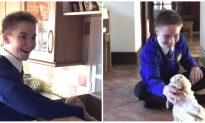 Boy Gets Puppy as a Surprise Present