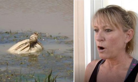 Woman Sees Man Tossing Sack in River, Dives After It and Gets a Horrifying Surprise