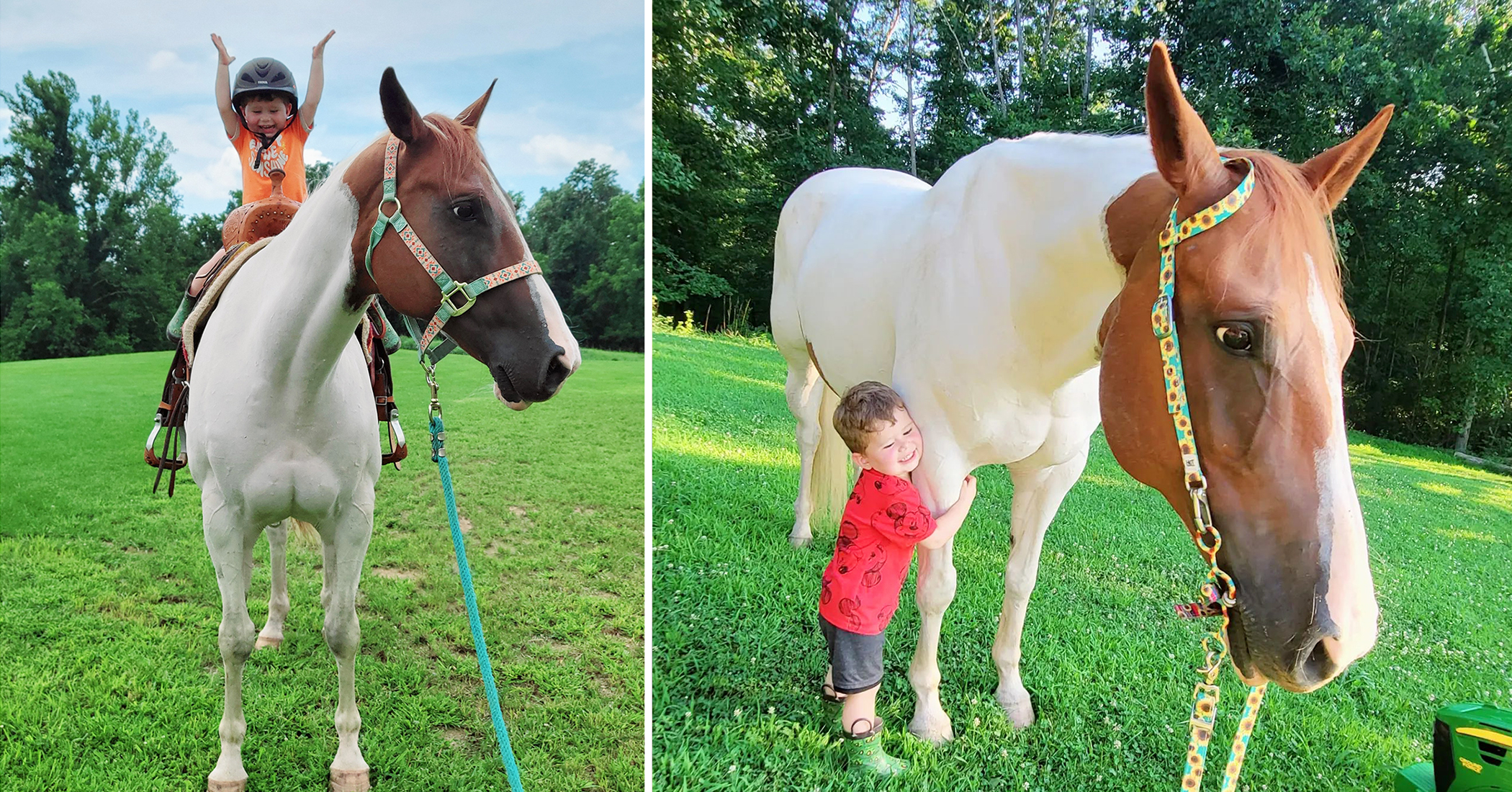 VIDEO: Boy, 3, Shares Special Bond With His Mare, and They Love Exchanging High-Fives
