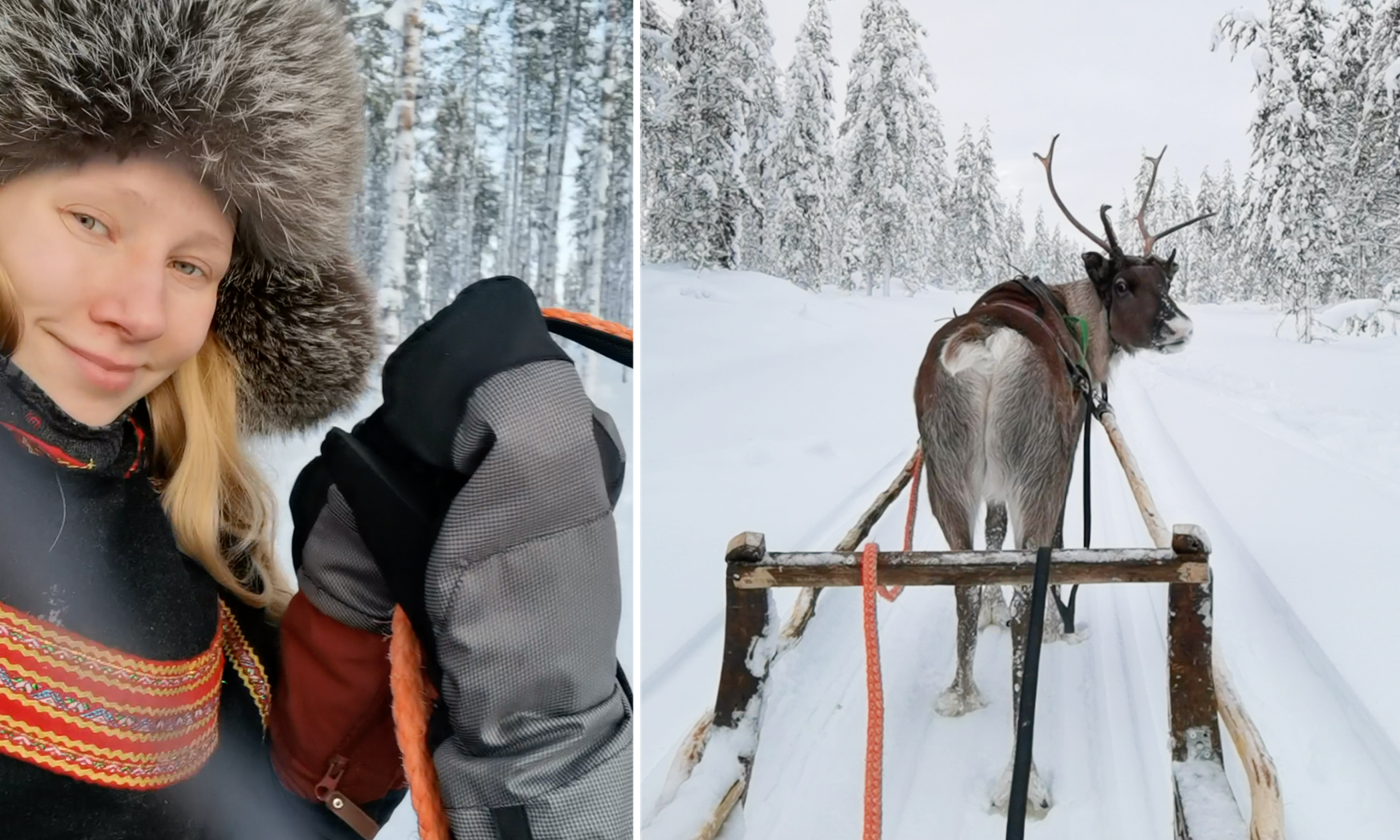 Woman From Finland Quits Her Job at a Restaurant After an Injury, Becomes a Reindeer Herder