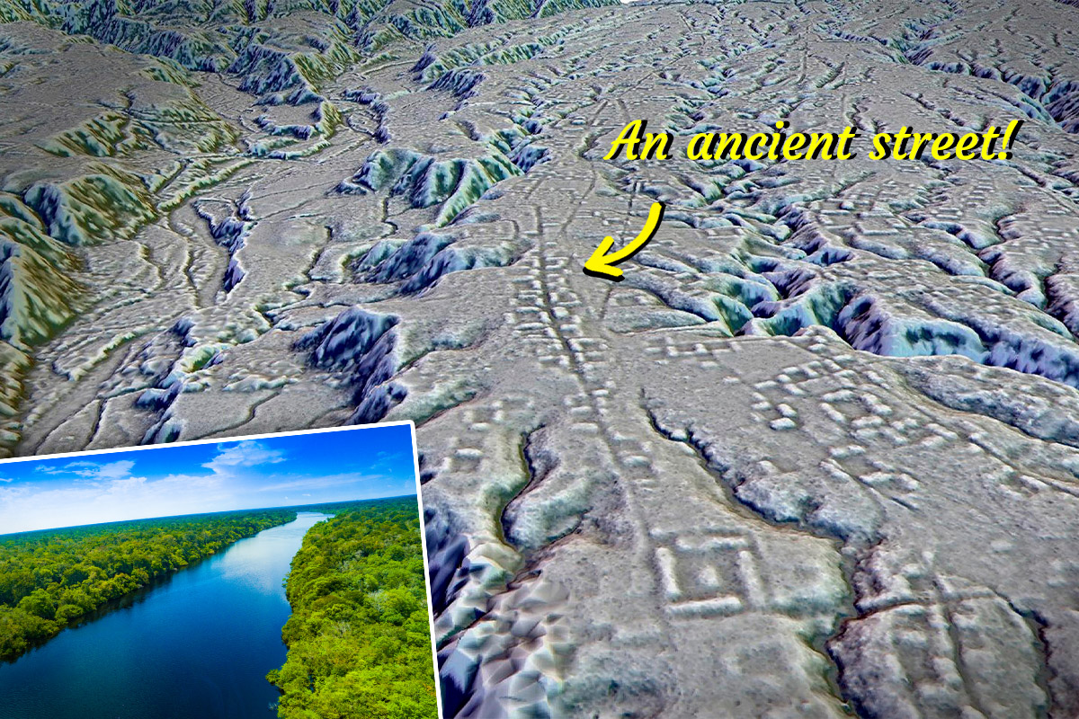 Ancient Cities That Flourished 2,000 Years Ago Found Hidden in the Amazon Rainforest