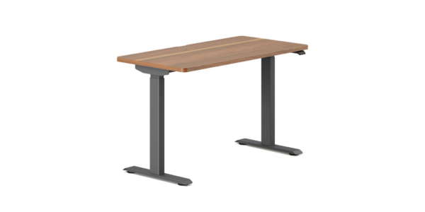 Branch Duo Standing Desk