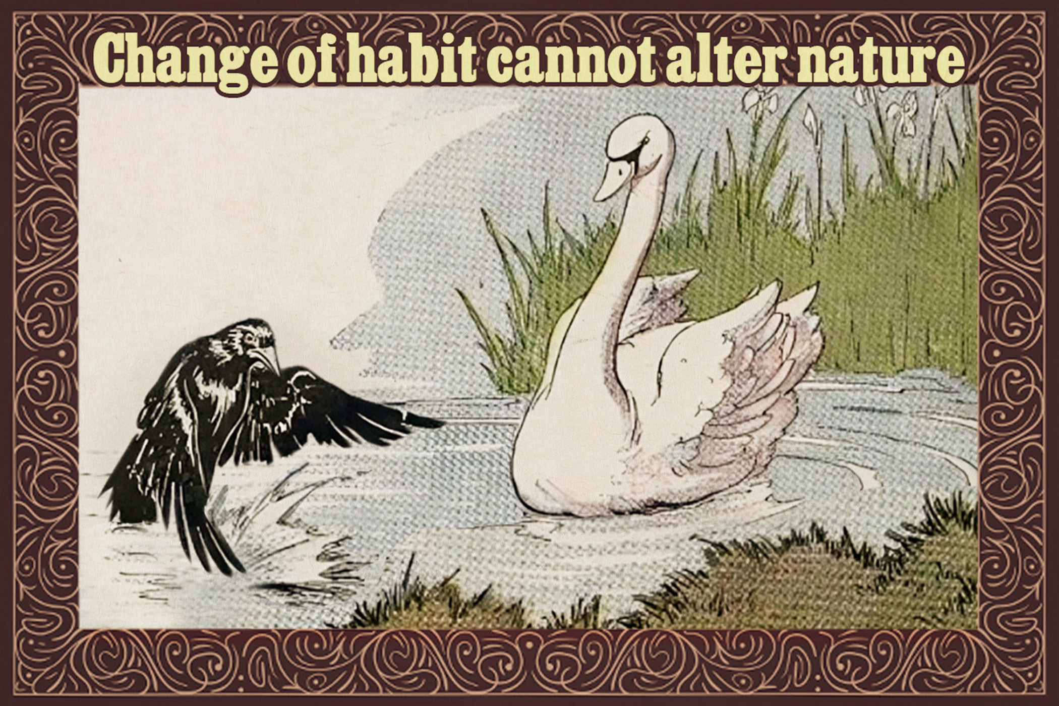 Foolish Raven Starts Living Like Swan Hoping to Turn His Feathers White—The End Is Obvious
