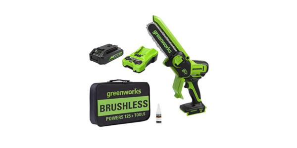 Greenworks 24V 6