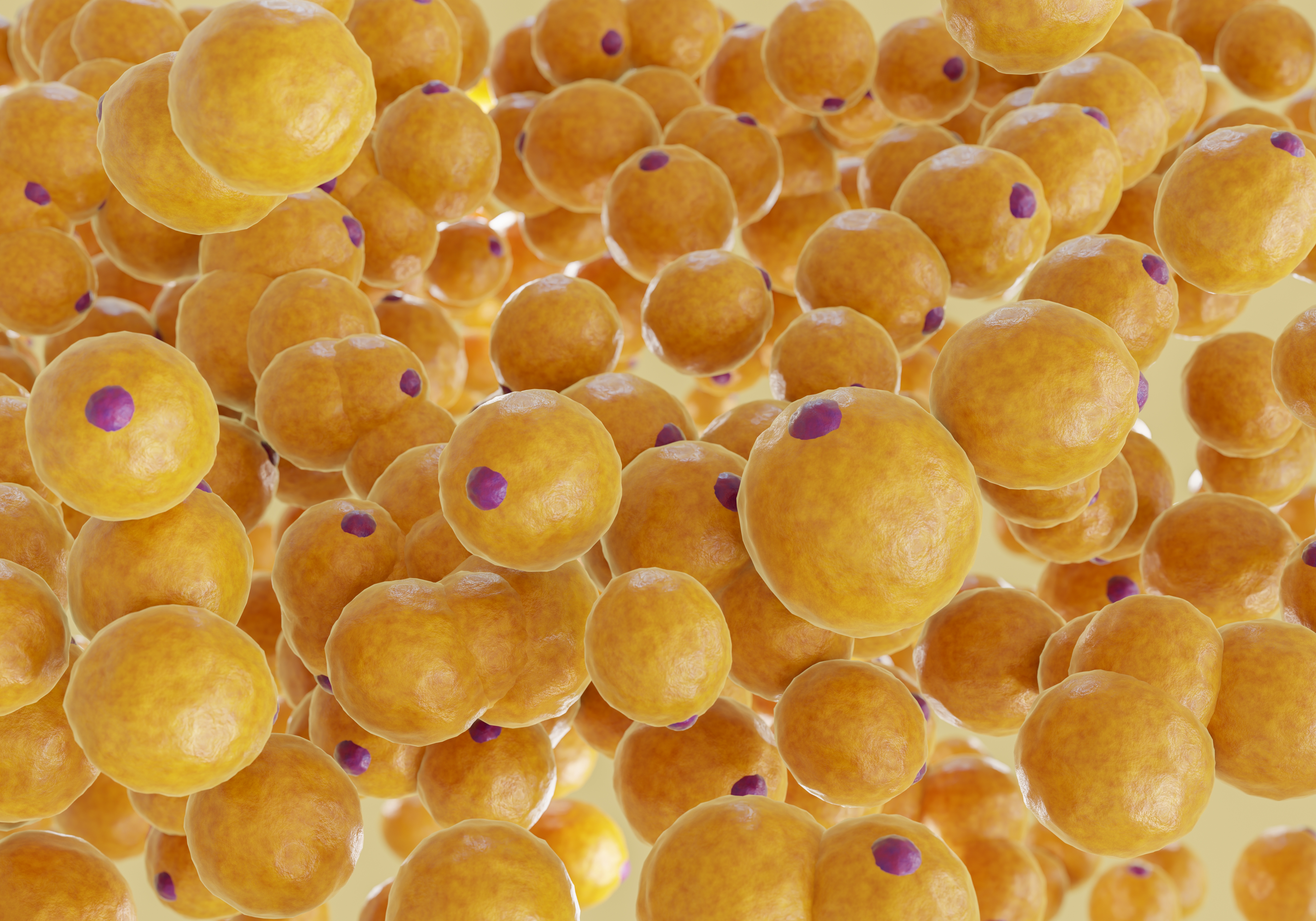 Why Your Body Could Be Resisting Weight Loss