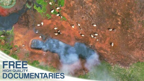 The Land of Majestic Volcanoes, Seething Geysers, Powerful Waterfalls, & Threatening Fjords