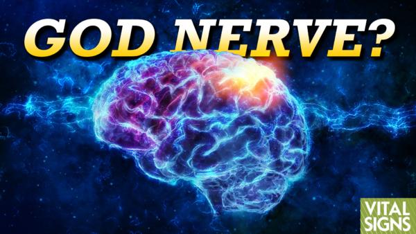 What Changes Happen in a Brain That Is Faithful, Spiritual, Mindful?