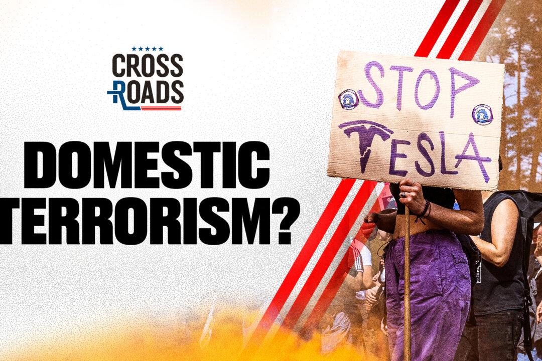Attacks on Tesla Labeled as Domestic Terrorism | Live With Josh