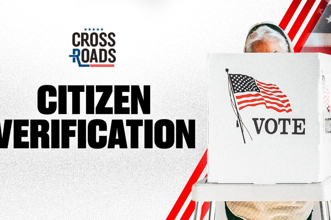 Citizen Check System Being Built for US Elections