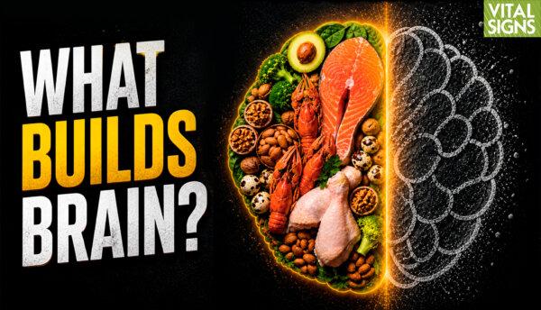 Which Protein, Fats for Brain Health? What’s Missing From the New Food Pyramid? | David Perlmutter MD