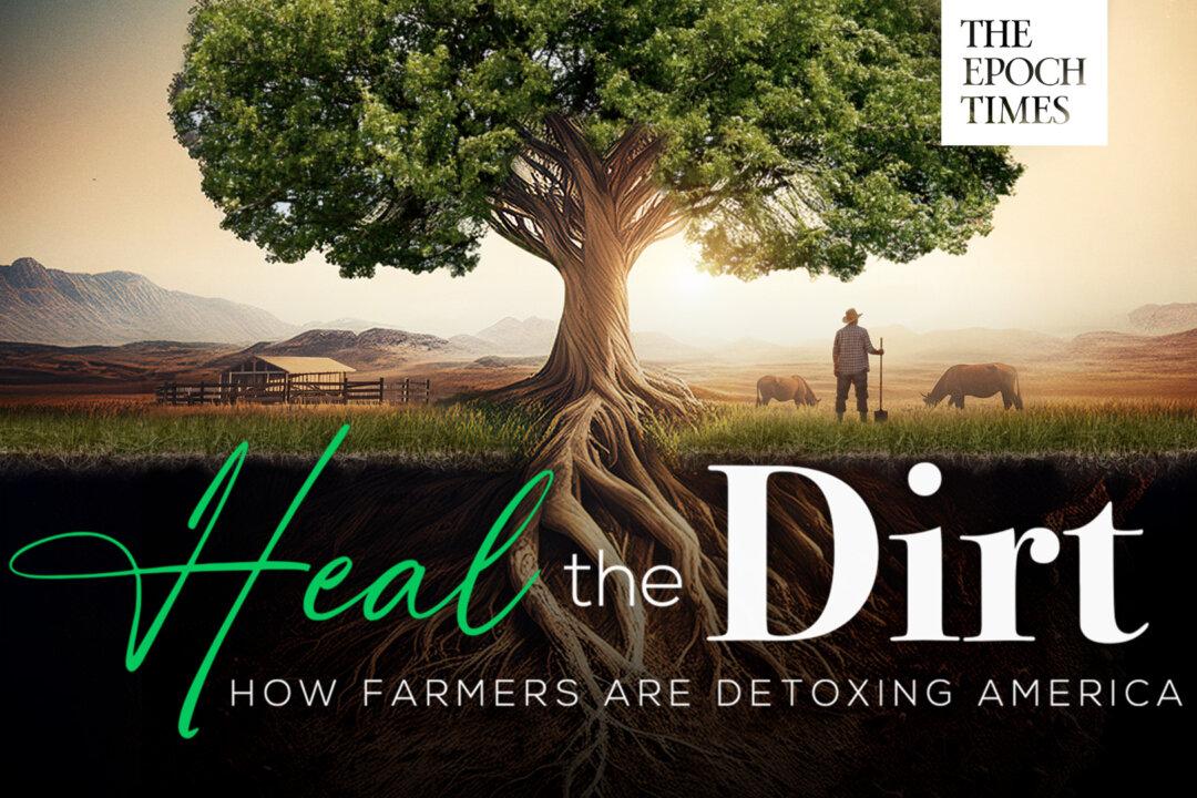Heal the Dirt: How Farmers Are Detoxing America