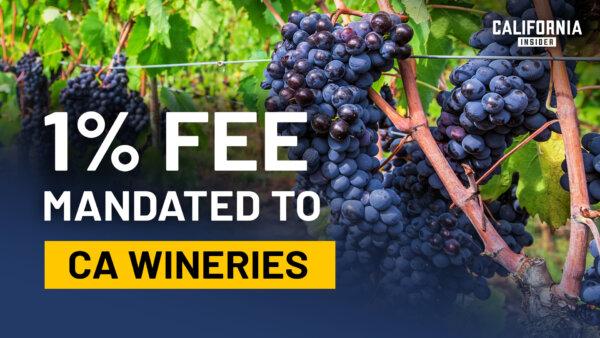 This California Winemaker Says Forced Membership Fees Could Reach Any Industry | Kate Griffith