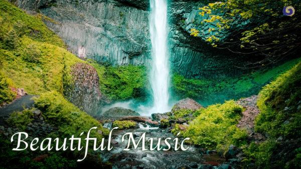 Beautiful, Relaxing, and Healing Music | Xiao and Bamboo Flute | Instrumental Music Collection