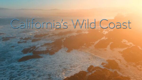 California's Wild Coast