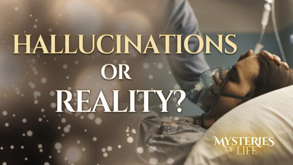 Are Near-Death Experiences Just Hallucinations? What a Leading Researcher Has Found | Mysteries of Life (S1, E5)