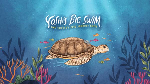 Yoshi's Big Swim: One Turtle's Epic Journey Home