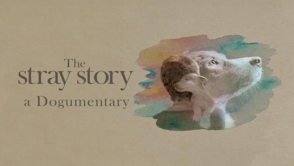 The Stray Story: A Dogumentary