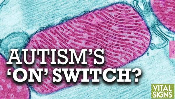 [PREMIERE NOW] What does Autism’s Biochemistry Reveal about its Cause and Potential for Treatment? Feat. Dayan Goodenowe PhD