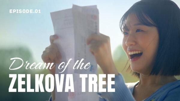 Dream of the Zelkova Tree | Ep. 1