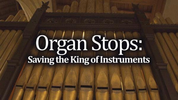 Organ Stops: Saving the King of Instruments