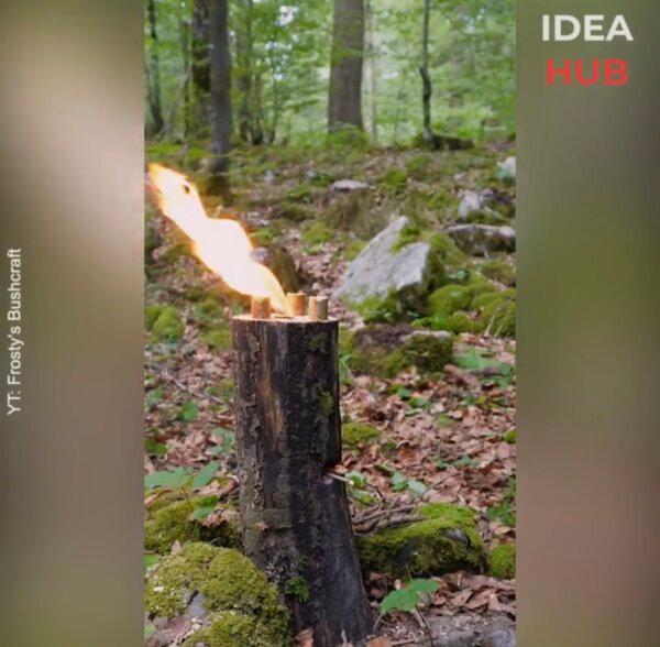 Making a Wood ROCKET Stove From a DRY Stump in 60 Seconds!