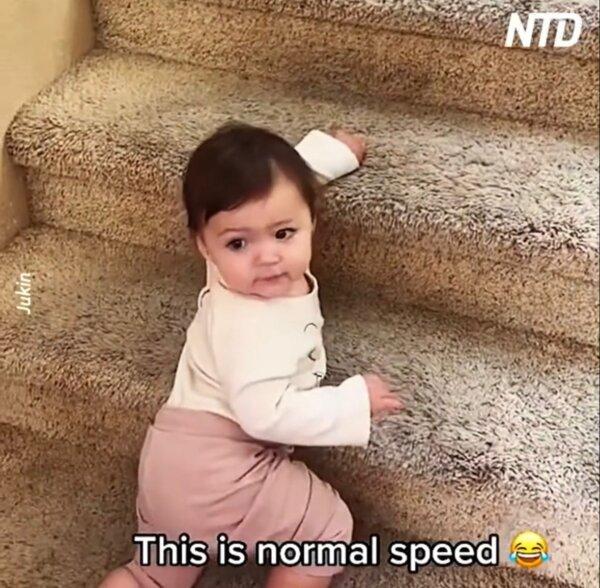 Toddler Descends Stairs in Reverse!