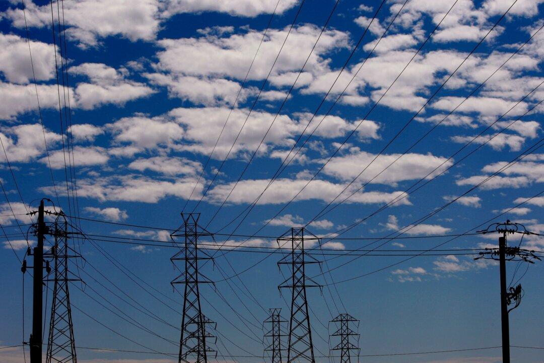 Mammoth Power Grids at Risk of Failure?