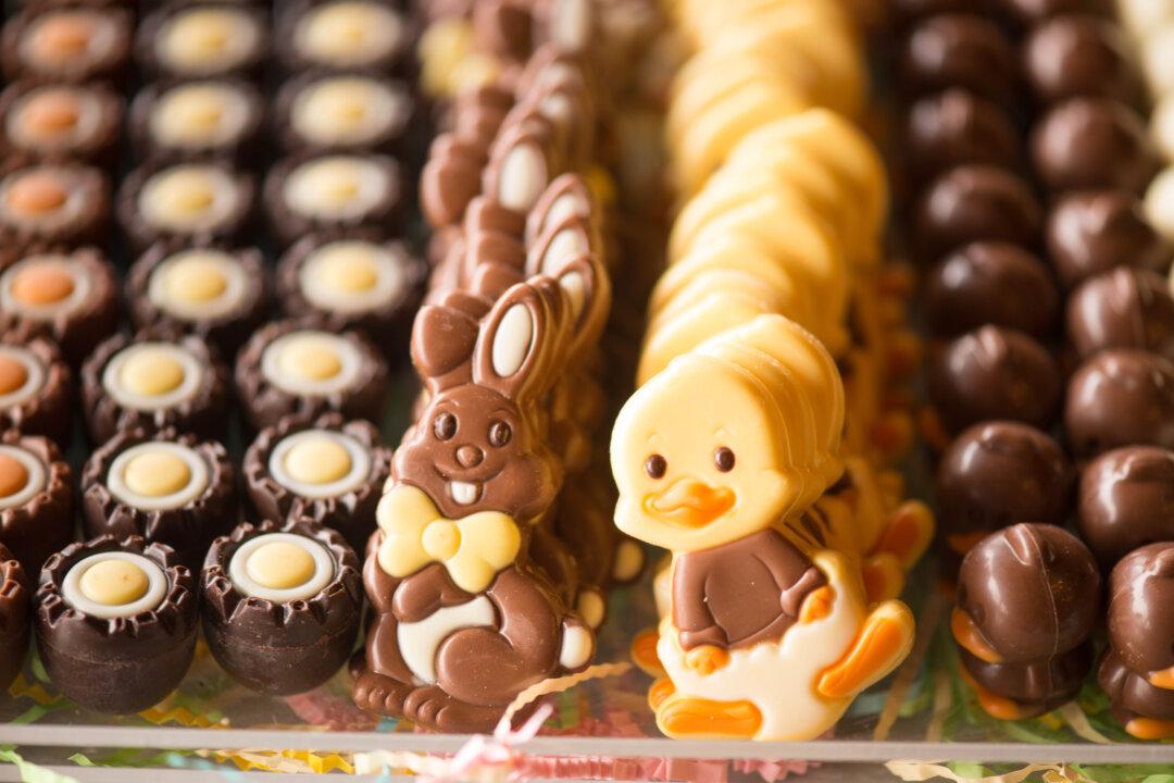 Furry Friends Warned to Stay Away From Easter Treats