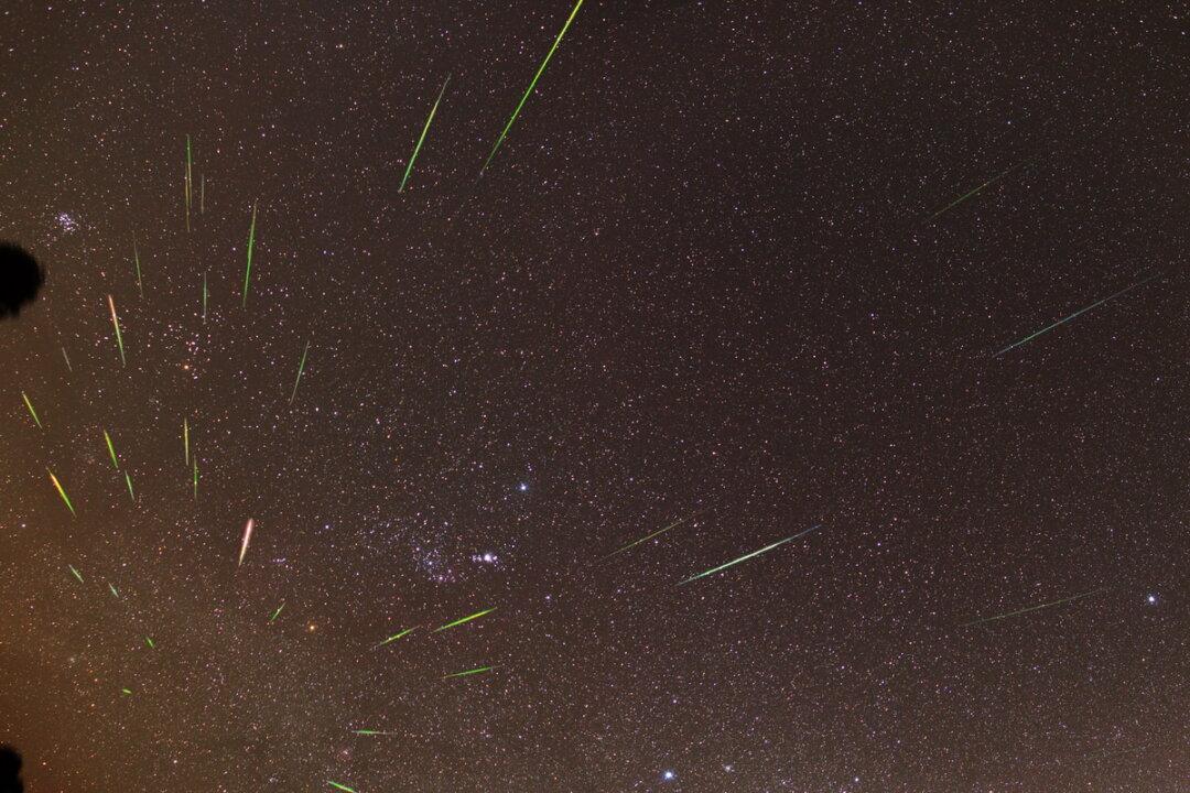WATCH: One of the Year’s Best Meteor Showers, Thanks to Halley’s Comet