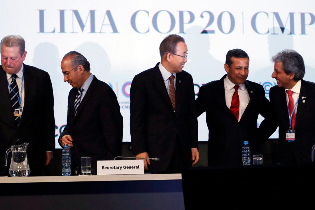 UN Climate Deal Reached: Expectations Different for Poor, Rich Nations